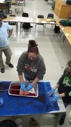 Stop the Bleed Training - Students using gauze with fake blood being pushed through to simulate the process.